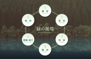 Principes de gestion forestière de Nakamoto