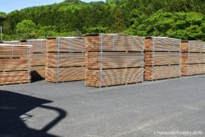 Piles of wood