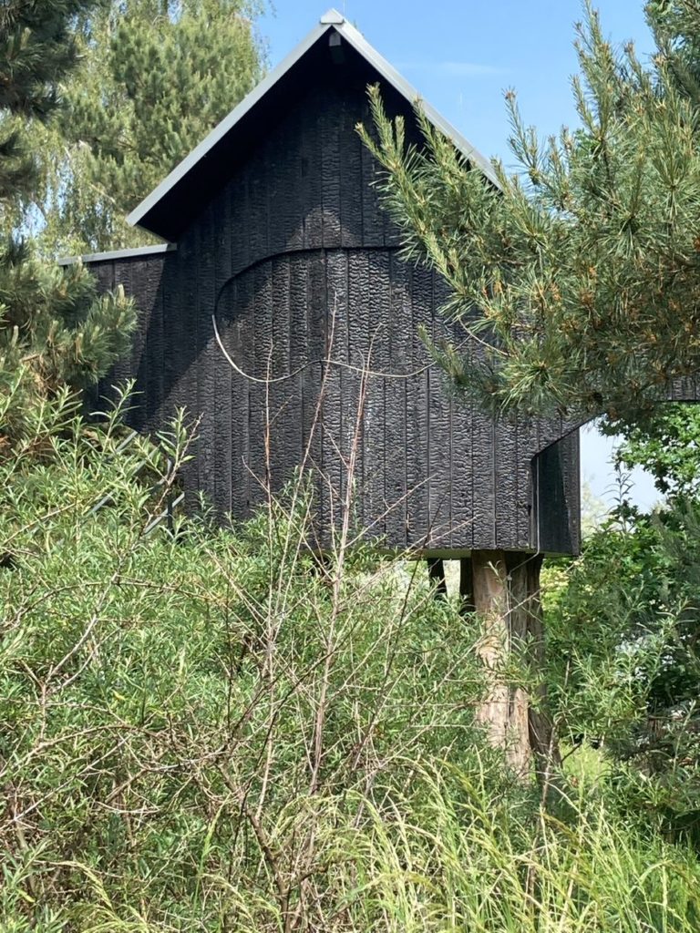 Maison de thé Yakisugi / Shou Sugi Ban à Neuss de Terunobu Fujimori