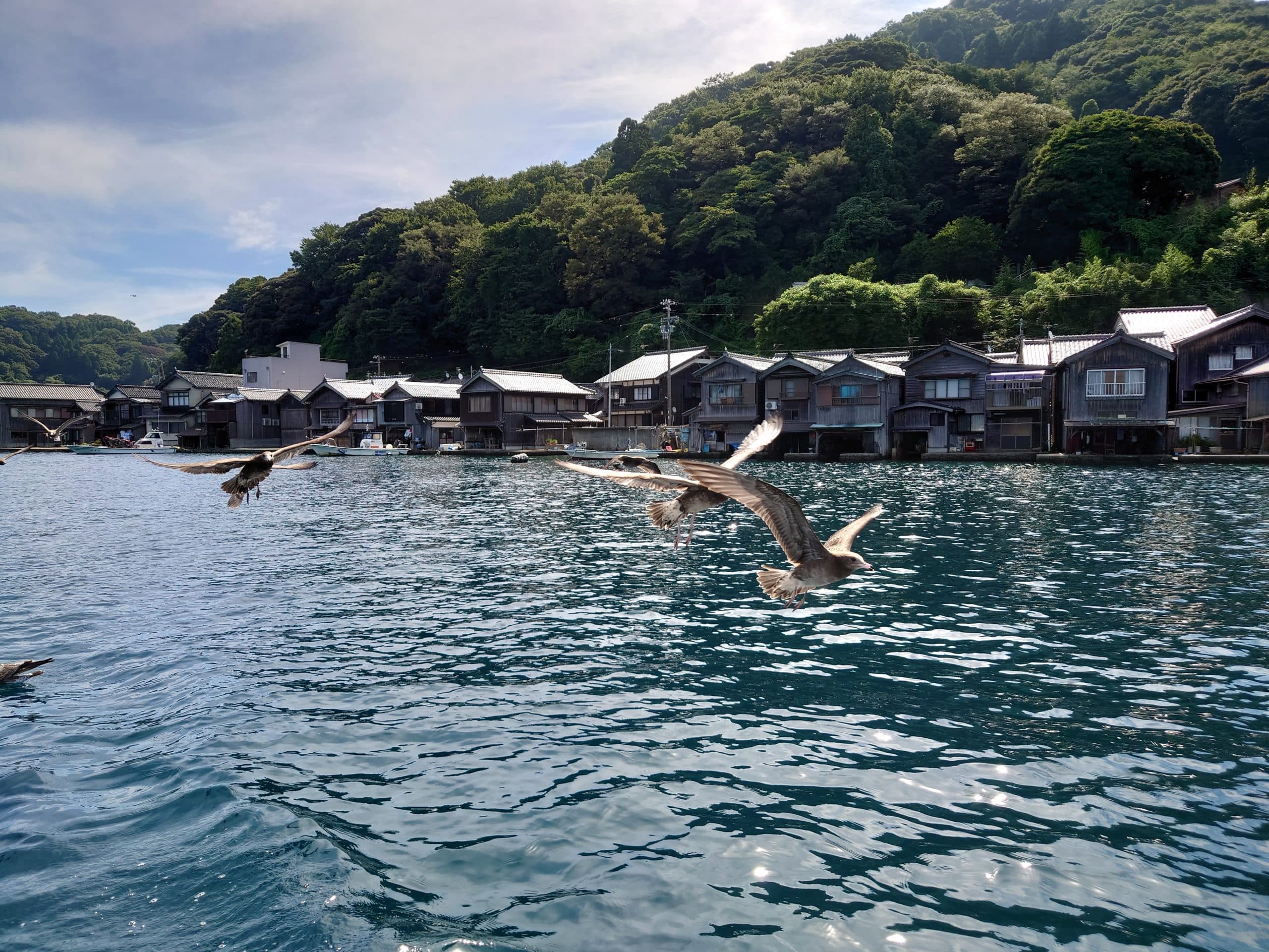 Des mouettes survolent le village de pêcheurs Ine au Japon
