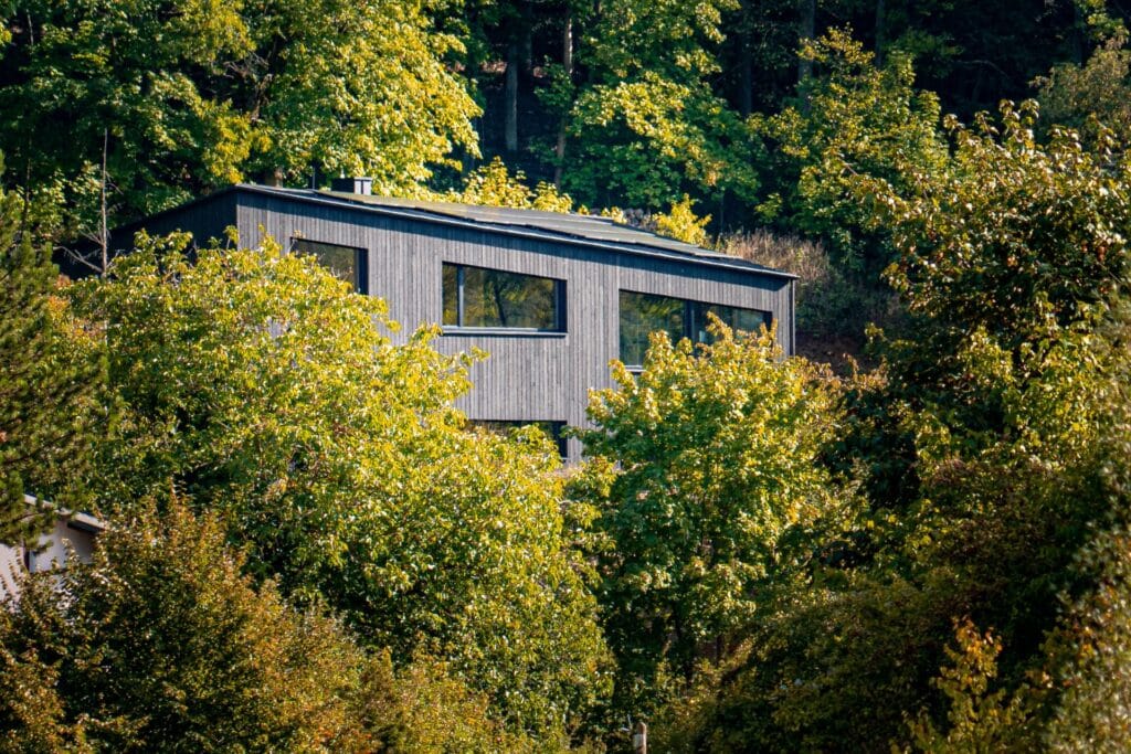 maison noire avec fenêtres entourée d'arbres